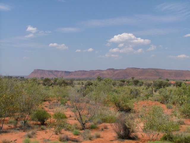 Bush des Mac Donnell Ranges