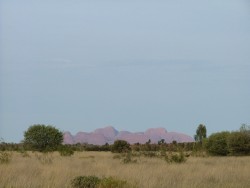 Dernier coup d'oeil sur les Monts Olga ou Kata-Tjuta en langue aborigène