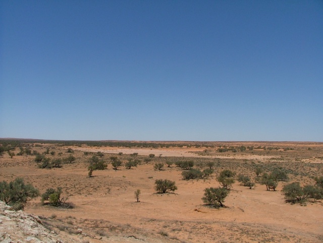 Des faux airs de savane aride africaine