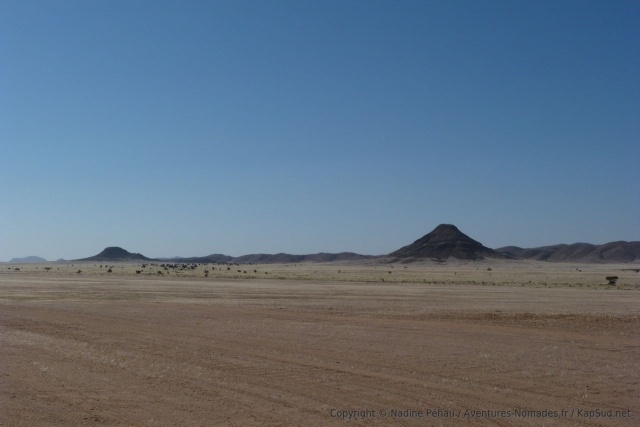 L'immense plaine blonde est interrompue par une chaine majestueuse de montagnes presque noires
