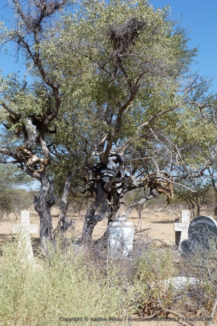 Un petit cimetière Himba, très surprenant
