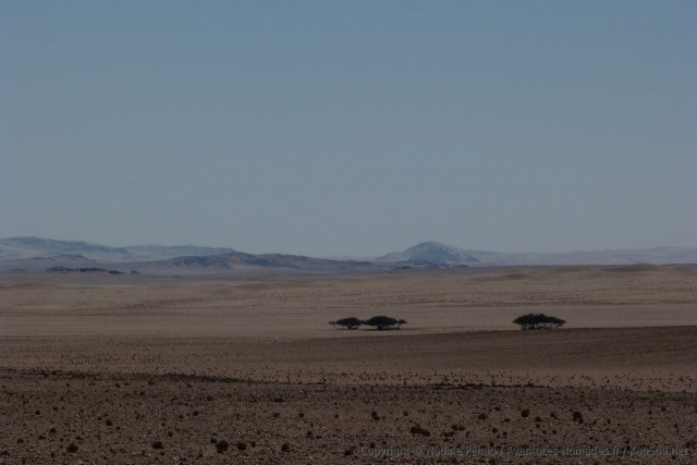 namibie-2014-0606-134152