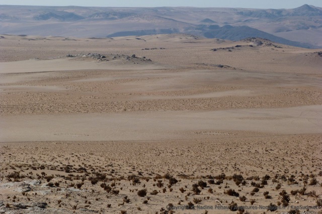 Inutile de s'aventurer dans ce champ de dunes réputé infranchissable et qui porte le doux nom de Monster Dunes 
