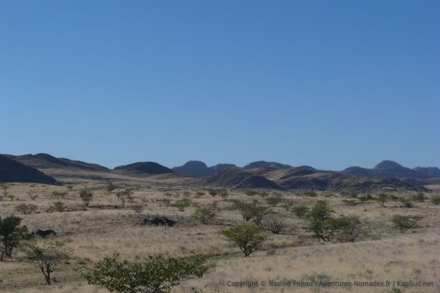 Bien que très arides, les paysages ne sont plus totalement désertiques