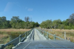 Le pont de la rivière Khwai