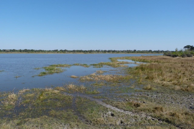 De nombreux pans remplis d'eau alternent avec des paysages de forêts et de savanes