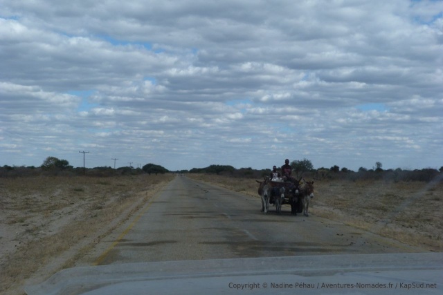 Cariole 4x4