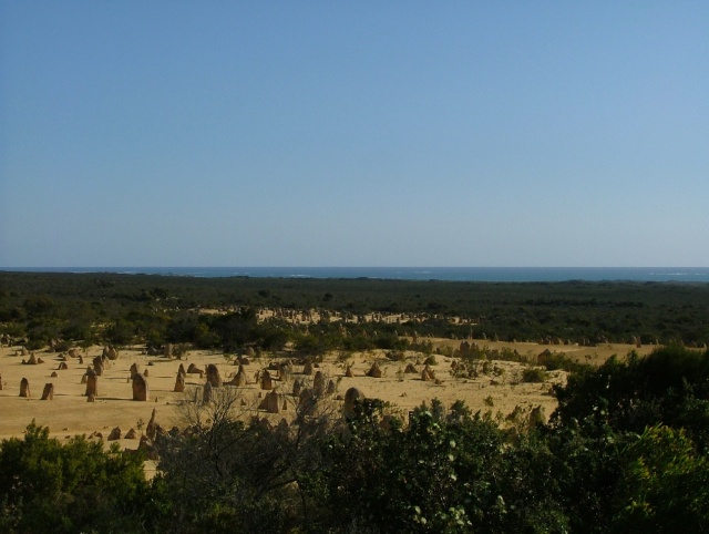 Désert des pinnacles  	... et toujours la mer à l'horizon