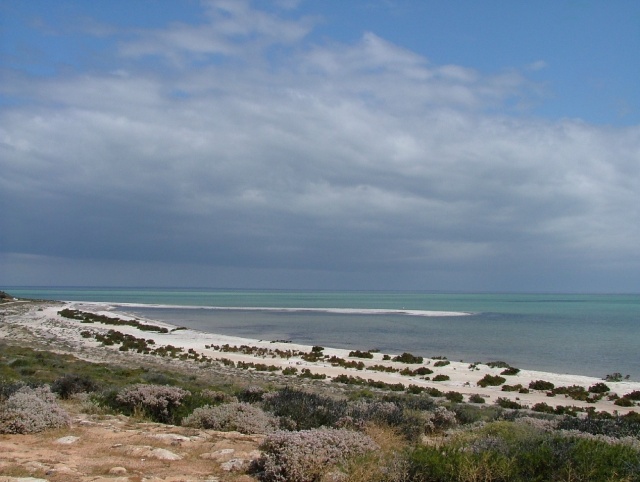 Côte sur Shark Bay