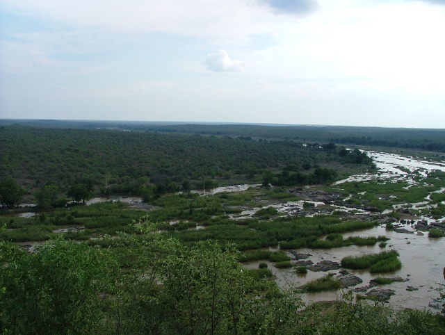 La vue sur les plaines du haut des falaises, permet d'apercevoir les animaux qui s'approchent de la rivière