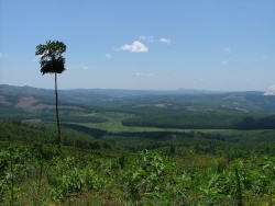 Afrique du Sud 1ère partie : on joue les touristes