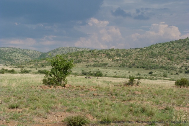 En cette période de l'année, les paysages sont très verdoyants