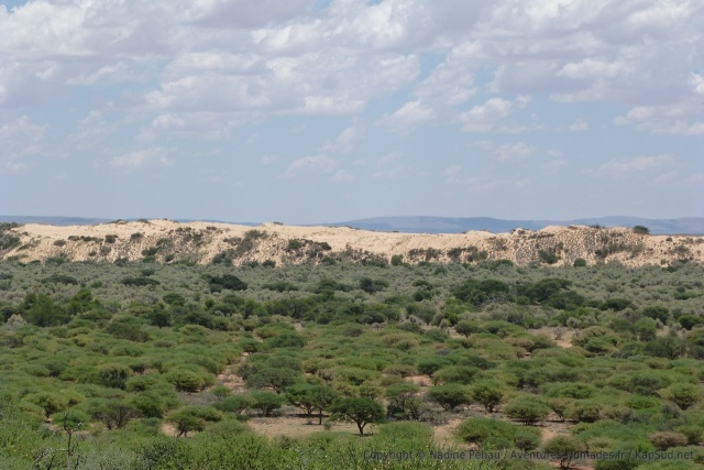 En dehors des sentiers battus, Witsand NR mérite le détour