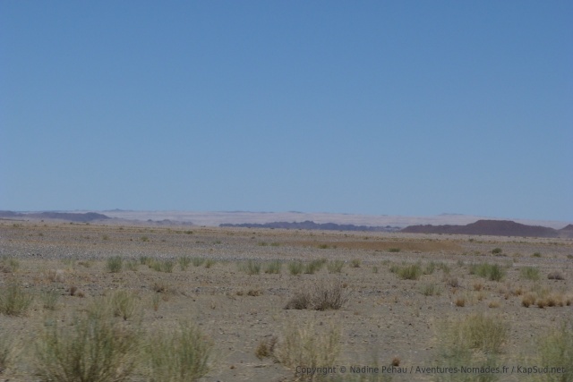 Au loin, se devinent les immenses dunes du désert de Namib