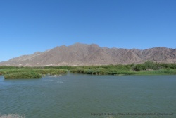 Dernier coup d'oeil sur la superbe rivière Orange qui marque la frontière entre la Namibie et l'Afrique du Sud