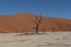 3ème partie - Namibie : de Luderitz à Etosha NP via Messum Crater