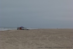 Tout le long de la Skeleton Coast, des pêcheurs acharnés investissent la plage
