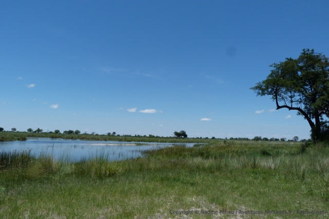 Beaucoup de plans d'eau en plus de la rivière elle-même