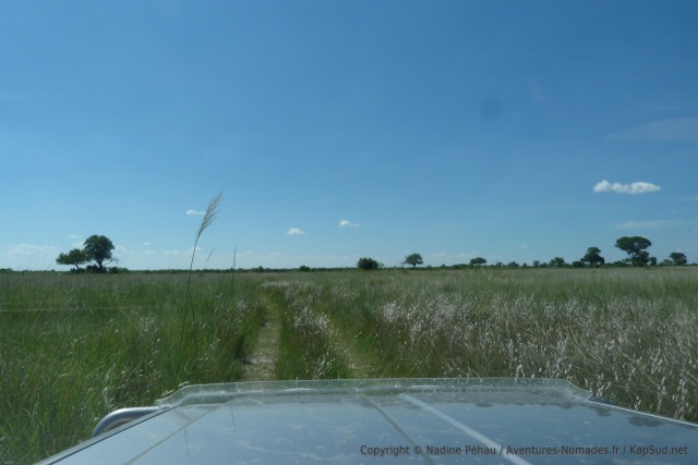 Après une partie bien boisée, nous traversons des plaines aux herbes hautes