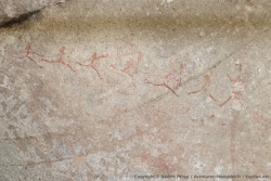 La grâce naturelle qui émane de ces tableaux est touchante