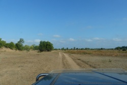 Nous sommes à peine fin mai et pourtant, la savane est déjà bien sèche