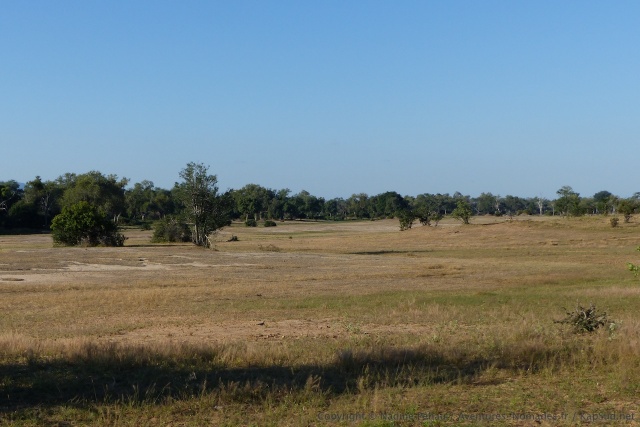 Une plaine de savane bien vide
