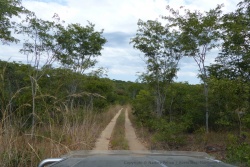Ah, si toute la piste avait pu être comme ce passage !