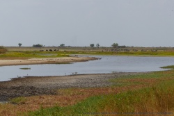 Ce méandre majestueux de la rivière est une véritable oasis pour tous les animaux