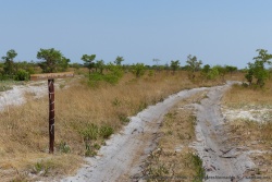 Un minuscule panneau pour un immense parc 