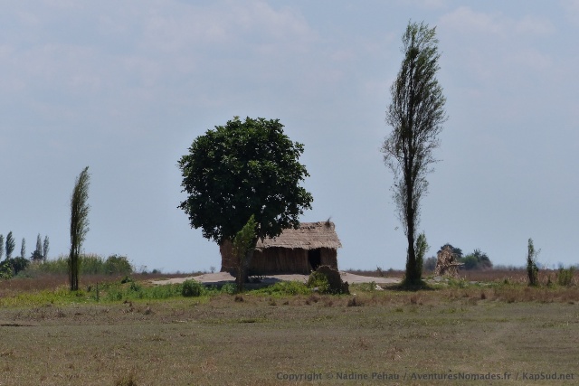 La moindre butte est occupée par une habitation et quelques arbres