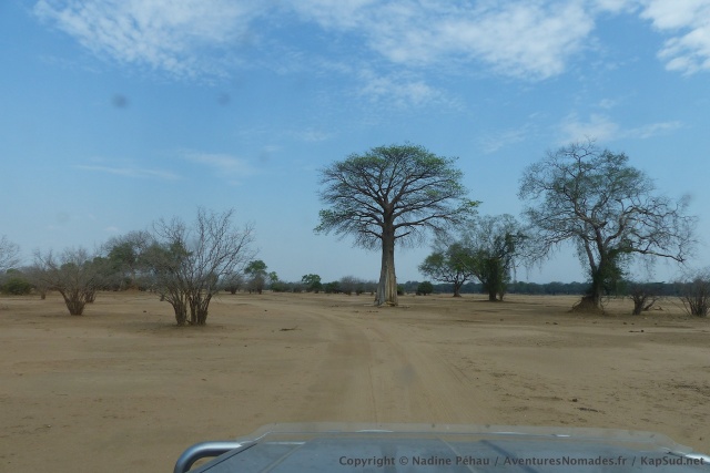 Changement radical de paysages, beaucoup plus arides