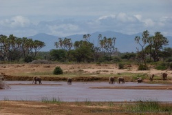 2ème partie : Mont Kenya -> Samburu mais ... nous n'arriverons pas jusqu'au lac Turkana