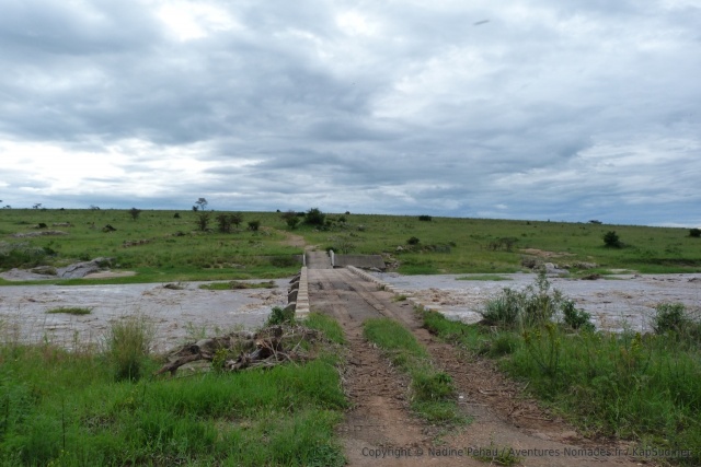 De l'autre côté de la rivière, le Serengeti en Tanzanie