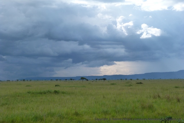 Vraiment, l'orage se rapproche !