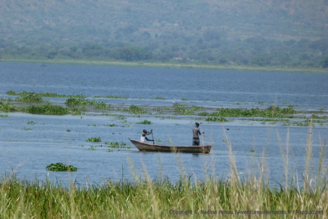 Les pêcheurs doivent disputer leur territoire aux hippopotames et aux crocodiles du lac Albert