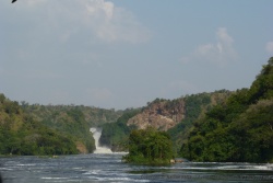 4ème partie - Ouganda : Murchinson Falls NP à Fort Portal
