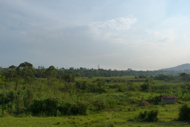 Les paysages sont incroyablement verts