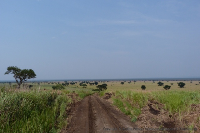 La piste parcourt les plateaux de savane qui surplombent les gorges