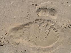 afs_2008_1103(070)