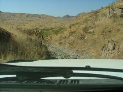 afs_2008_1104(009)