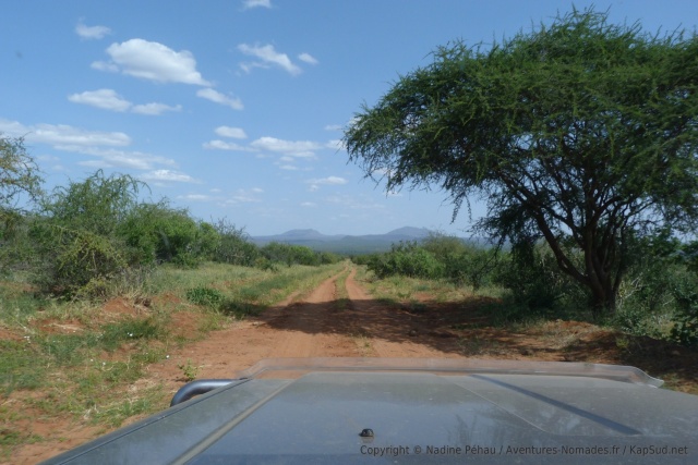 Des paysages d'Afrique de l'Est, tels qu'on les rêve