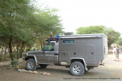De malicieux singes vervet, particulièrement intéressés par notre voiture
