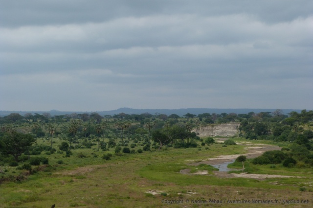 Un panorama typique du Tarangire