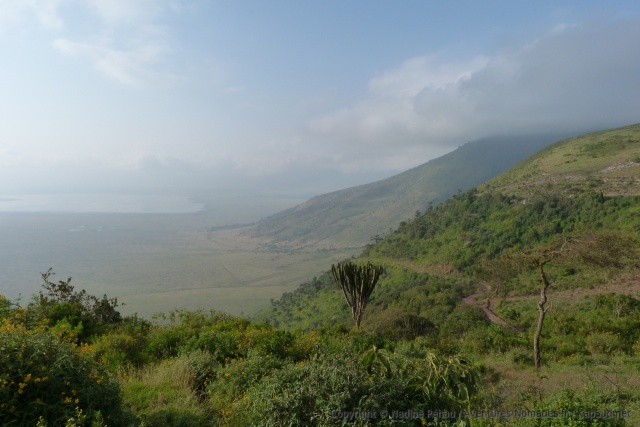 Le lac Magadi, au coeur du cratère de Ngorongoro