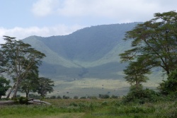 De retour à la forêt de Lerai, on se réalise la hauteur impressionnante des parois abruptes de l'ancien volcan