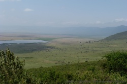 Un dernier coup d'oeil vers ce merveilleux sanctuaire naturel qu'est le cratère de Ngorongoro