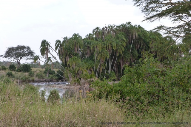 Une petite rivière transforme totalement le paysage