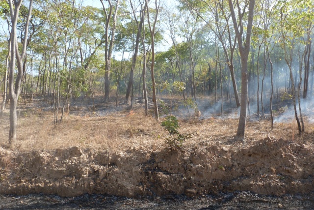 En approchant de Mpanda, les feux font leur apparition dans la forêt
