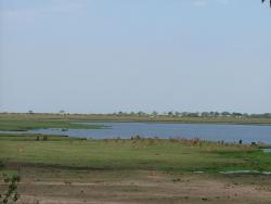 afs_2008_1109(006)