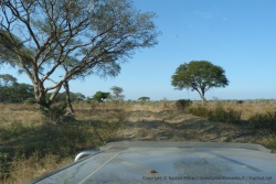 Par moment, on se croirait au Botswana